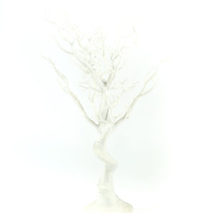 30" White Manzanita Tree