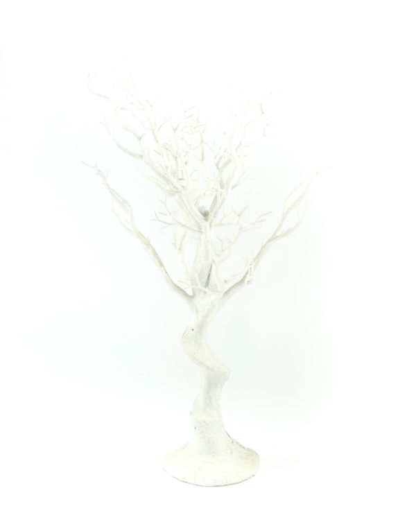 30" White Manzanita Tree