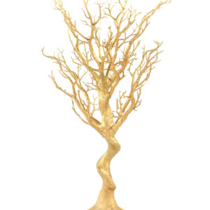 30" Gold Manzanita Tree