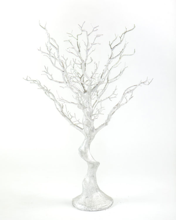 30" Silver Manzanita Tree