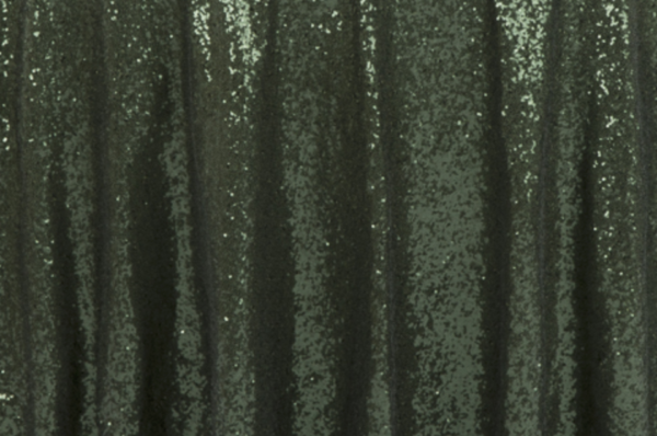 Willow Green Sequin Linen